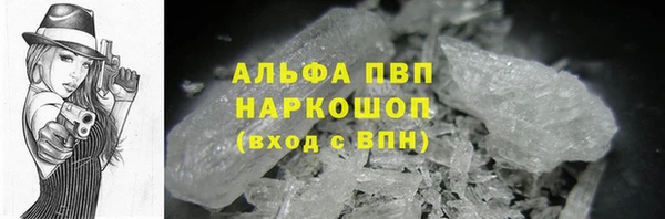 ГАЛЛЮЦИНОГЕННЫЕ ГРИБЫ Богданович