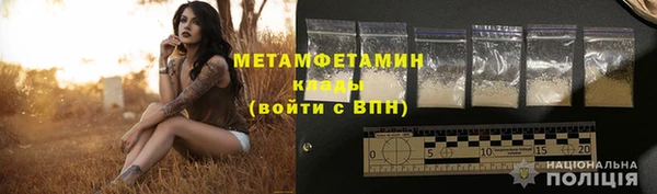 ГАЛЛЮЦИНОГЕННЫЕ ГРИБЫ Богданович