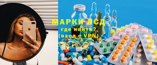 ГАЛЛЮЦИНОГЕННЫЕ ГРИБЫ Богданович