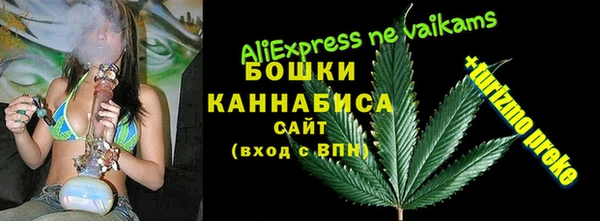 ГАЛЛЮЦИНОГЕННЫЕ ГРИБЫ Богданович