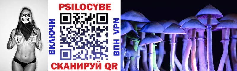 Псилоцибиновые грибы Cubensis  купить закладку  blacksprut зеркало  Морозовск 